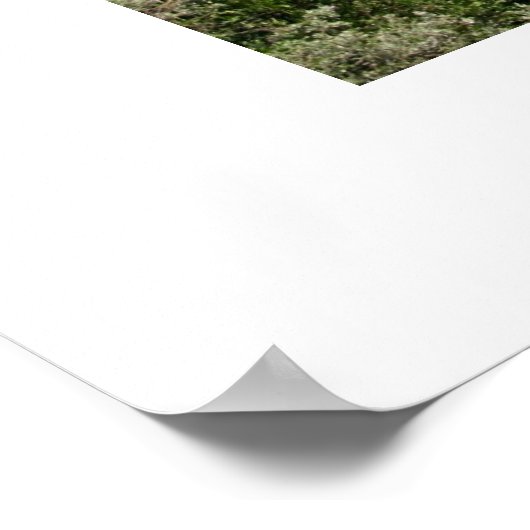 360 Bridge Poster (Hoek)