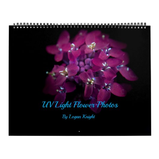 365NM UV-lichtventilatorfoto's kalender (Hoes)