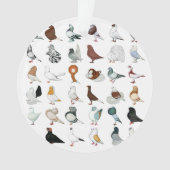 36 races de pigeon (devant)