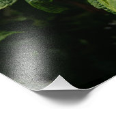36 "x24" Oakleaf Hydrangea Foto Afdruk (Hoek)