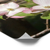 36"x24" Pink Dogwood Poster (Hoek)