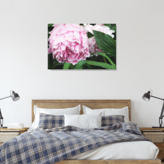 36 "x24" roze pioen canvas afdruk
