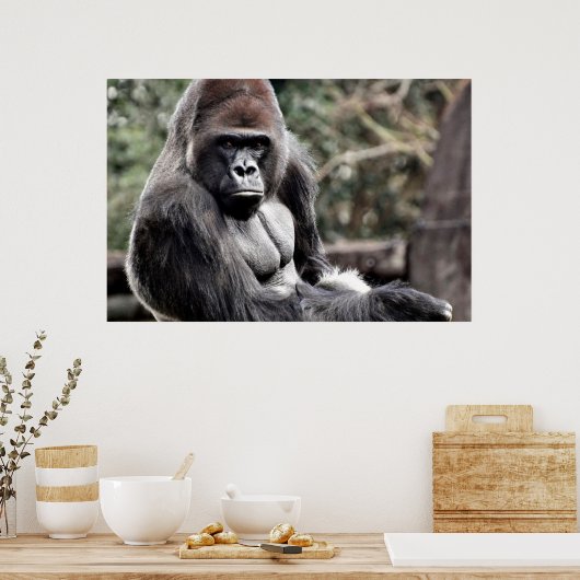 36 X 24 GORILLA PREMIUM CANVAS GLOSS POSTER (Cuisine)