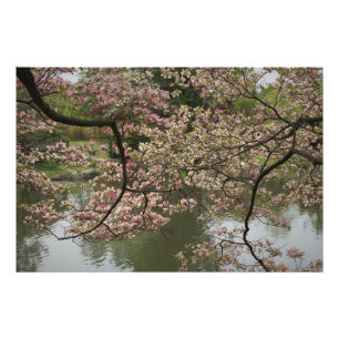 36 x 24-inch roze duoghout foto afdruk
