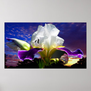 36 x 24 inch, Value Poster Paper (Matte)