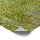 36x12 Poster Paper (Matte) de grizzli (Coin)