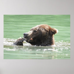 36x24 Poster Paper (Matte) de grizzli