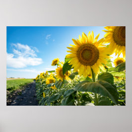 36x24 Poster voor wandelen