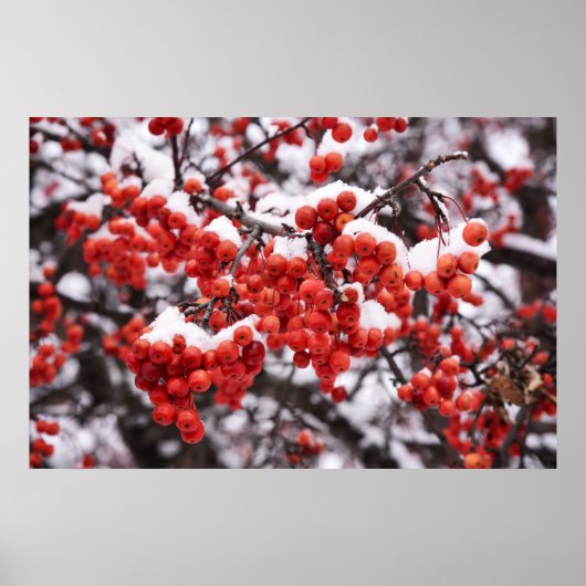 36x24 Poster voor wandelen (Voorkant)