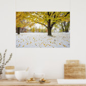 36x24 Poster voor wandelen (Keuken)