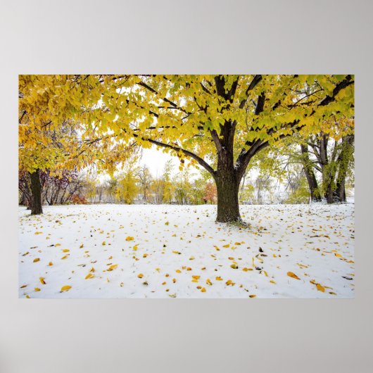 36x24 Poster voor wandelen (Voorkant)