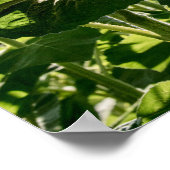 36x24 Poster voor wandelen (Hoek)