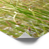 36x36 Poster Papier (steen) van de soort gebruikt (Hoek)