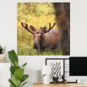 36x36 Poster Papier (steen) van de soort gebruikt (Thuiskantoor)