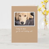 3780 Goed, hond Kaart (Gele Bloem)