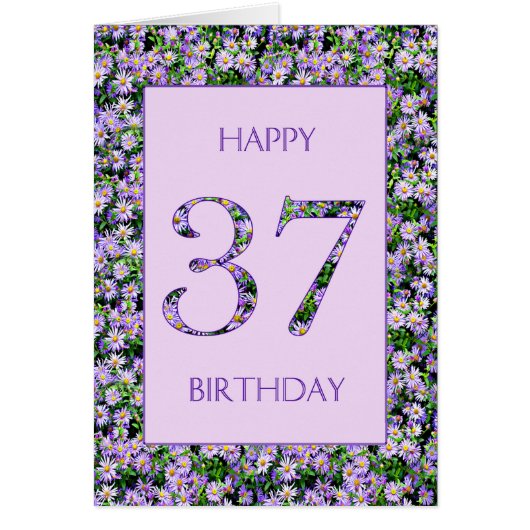 37e anniversaire de marguerites violettes (Devant)