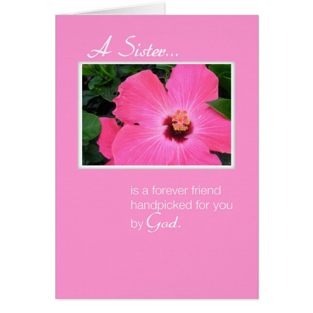 3829 Roze zuster (Voorkant)