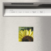 3/4 Sunflower Magneet (Insitu (Vaatwasser))