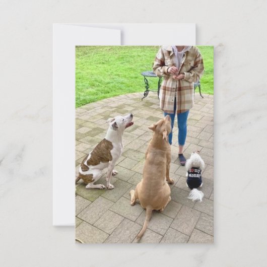 3,5-inch x 5-inch flat-panelkaart bedankkaart (Voorkant)