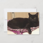 3,5 x 5-inch flat-Wenskaart Kaart (Voorkant)