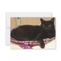 3,5 x 5-inch flat-Wenskaart