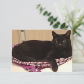 3,5 x 5-inch flat-Wenskaart Kaart (Staand voorkant)