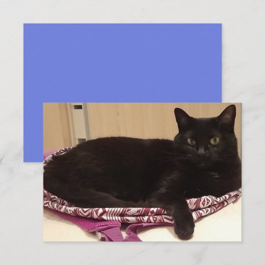 3,5 x 5-inch flat-Wenskaart Kaart (Voorkant / Achterkant)