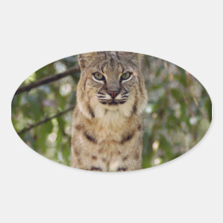 3,5x3,5-Sjabloon-ovale magneet Ovale Sticker