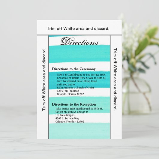 3.5x6 Directions Carte Ombre Stripe Turquoise Line (Debout devant)