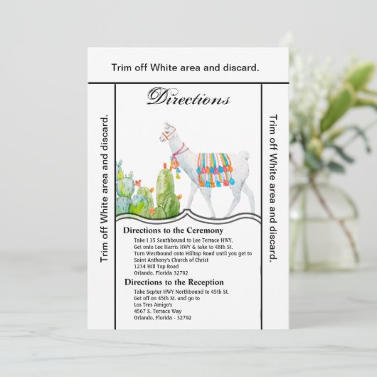 3.5x6 Routebeschrijving Kaart Boho Llama Bohemian (Staand voorkant)