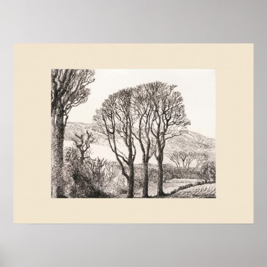 3 Arbres Impression de Cornouailles, Eleanor M Hug (Devant)