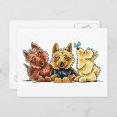 3 Australische Terriers Briefkaart (Voorkant / Achterkant)
