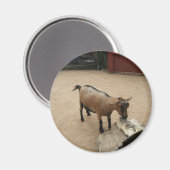 3 avril (11) Magnet (Recto/Verso)