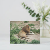 3 avril (1) Carte postale (Debout devant)
