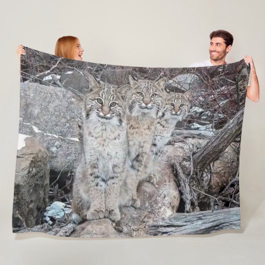3 BOBCATS FLEECE DEKEN (In situ)