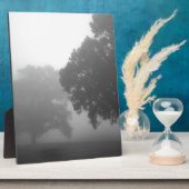 3 bomen fotoplaat (Zijkant)
