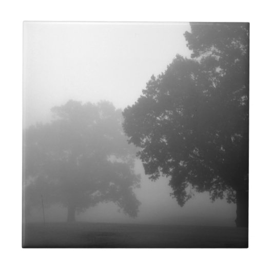 3 bomen tegeltje (Voorkant)