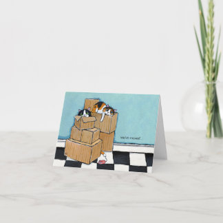 3 Chats et boîtes | Nous avons déplacé la carte de