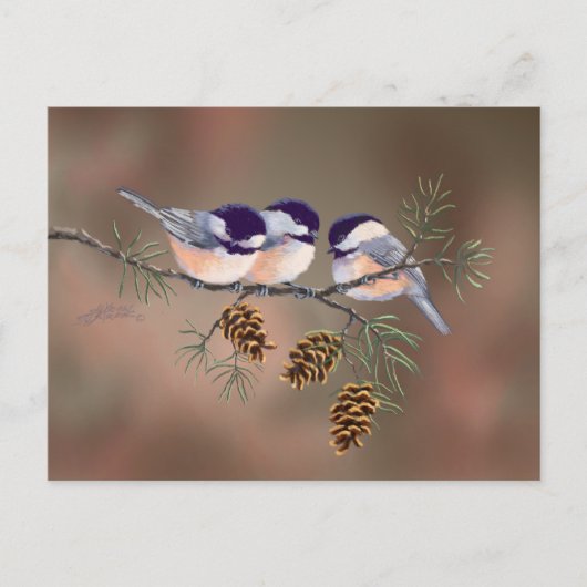3 CHICKADEES EN PINE CONESby SHARON SHARPE Briefkaart (Voorkant)