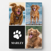 3 Collage Foto Hond Liefhebber Poot Foto Fotoplaat (voorkant)