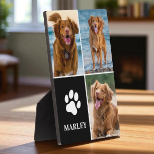 3 Collage Foto Hond Liefhebber Poot Foto Fotoplaat