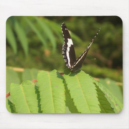 3-D Butterfly Muismat (Voorkant)
