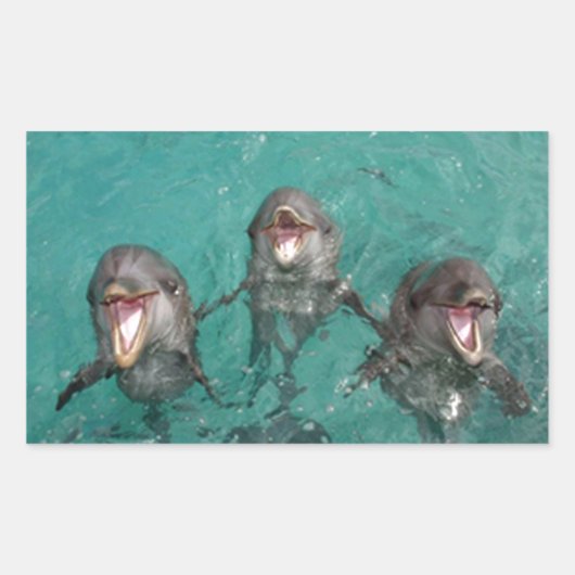 3 Dolfijnen Rechthoekige Sticker (Voorkant)