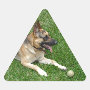 3 duitse herderderderleg.png driehoek sticker