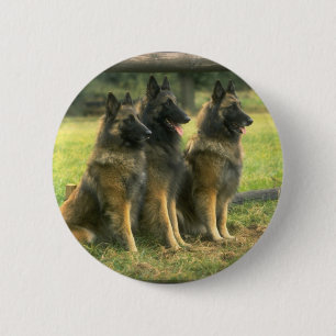 3-Duitse herders Ronde Button 5,7 Cm