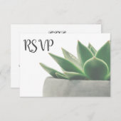 3 Entree Choice Modern Green Succulent RSVP (Voorkant / Achterkant)