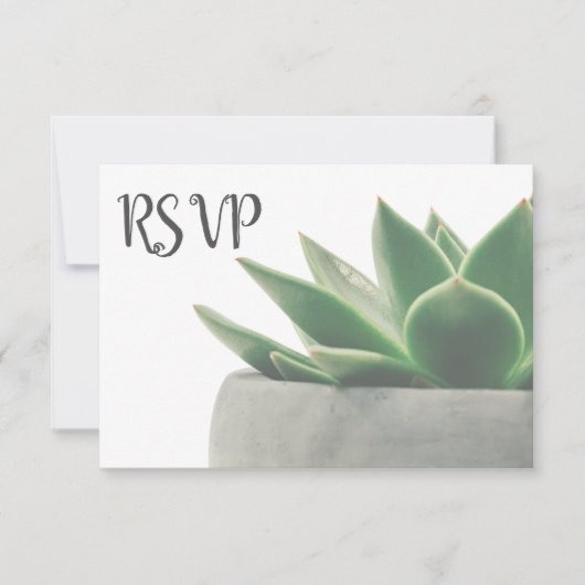3 Entree Choice Moderne Vert Succulent RSVP (Devant)