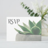 3 Entree Choice Moderne Vert Succulent RSVP (Debout devant)