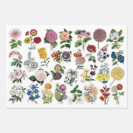 3 feuilles de collage à fleurs (Devant 3)