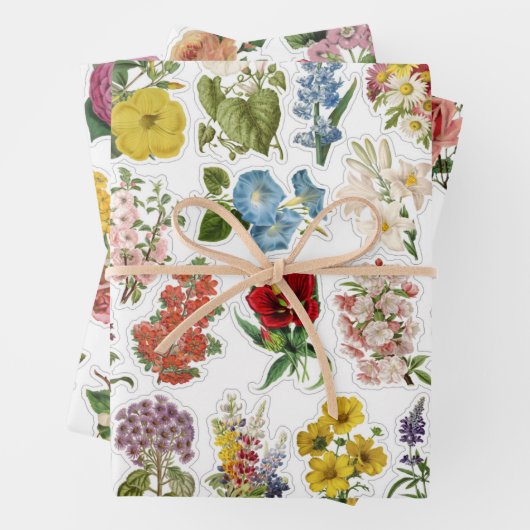 3 feuilles de collage à fleurs (En situation)